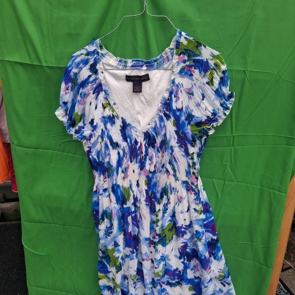 Hayley Matthews Blue and White Sexy Spring Dress